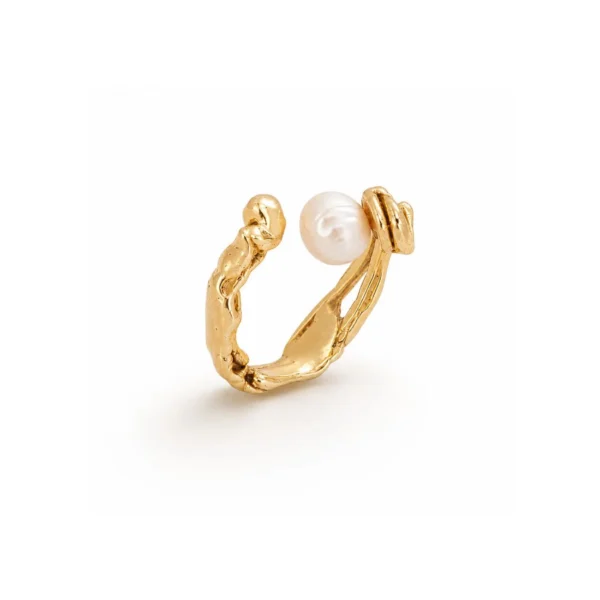 Ursa Minor Ring